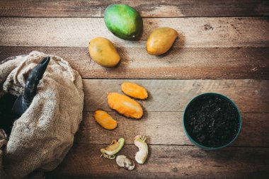 tohumdan mango ağacının dikim