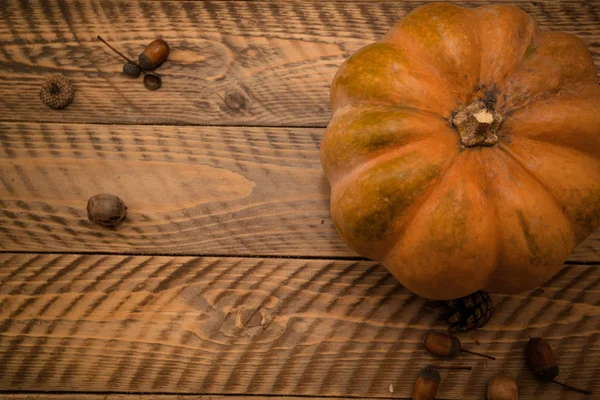 Осенняя Композиция Тыквой Концепция Хэллоуина — стоковое фото