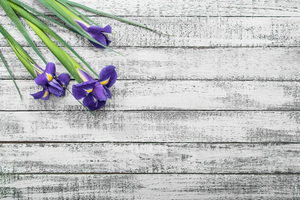 Top View Beautiful Iris Flowers Grey Wooden Table — Stock Photo, Image