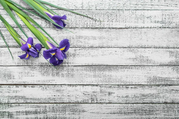 Top view of beautiful iris flowers on grey wooden table — Stock Photo