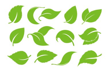 Beyaz arka plan üzerinde izole simge vektör kümesi bırakır. Ağaçlar ve bitkiler yeşil yaprakların çeşitli şekiller. Eko ve biyografi logolar için öğeleri. Yeşil yaprakları tasarım unsurları ayarla.