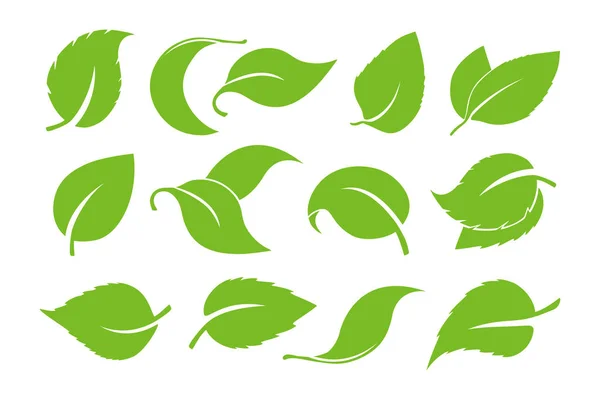 Deja conjunto de vectores de iconos aislados sobre fondo blanco. Varias formas de hojas verdes de árboles y plantas. Elementos para logotipos ecológicos y biológicos. Conjunto de elementos de diseño de hojas verdes . — Vector de stock