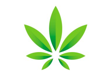 Esrar esrar kenevir yaprak yeşil düz simge veya logo tasarım. Esrar yeşil siluet ekoloji logosunu görmeniz gerekir. Kenevir amblem logo için tasarım Paketleme ürünleri, gıda, basılı ürünler oluşturmak için.