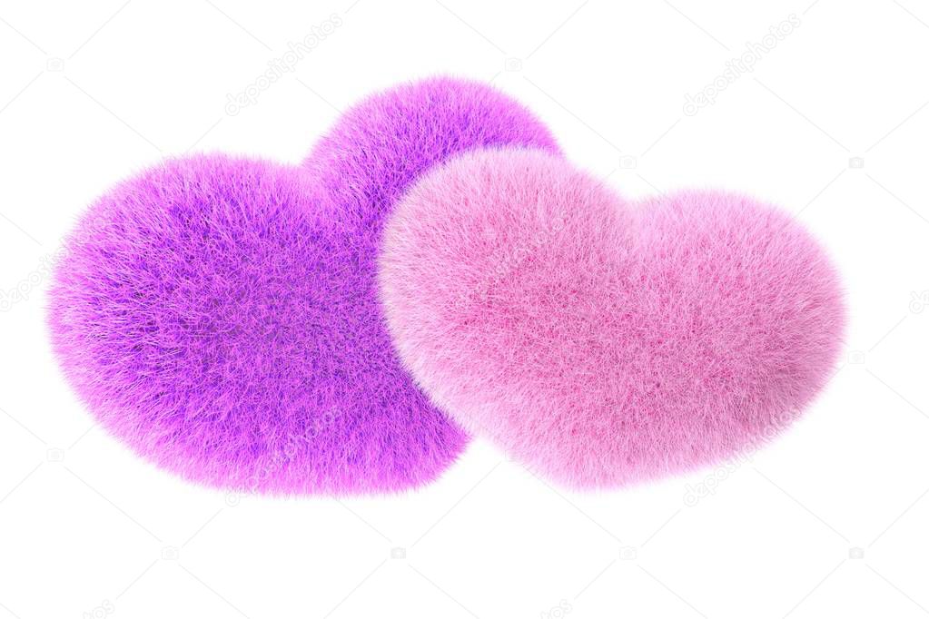 Furry heart. Heart from red fur. 3d render of pink and blue heart illustration isolated on white background.