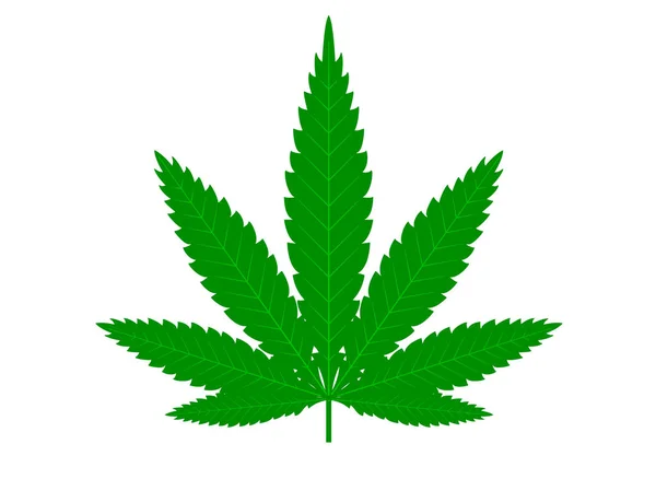 Konopi marihuany konopi zielony liść płaskie symbol lub logo projektu. Konopi Zielona sylwetka ekologia logo. Godło konopi dla logo projektowanie opakowań towarów, żywności, do tworzenia produktów poligraficznych. — Wektor stockowy