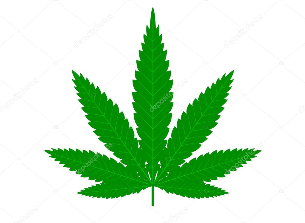 Cannabis marijuana hemp green leaf flat symbol or logo design. Cannabis green silhouette ecology logo. Hemp emblem for the logo design packaging of goods, food, for the creation of printed products