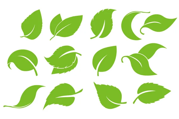 Läßt den Icon-Vektor auf weißem Hintergrund isoliert stehen. verschiedene Formen der grünen Blätter von Bäumen und Pflanzen. Elemente für Öko- und Bio-Logos. Set von grünen Blättern Design-Elemente. — Stockvektor