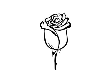 Elle çizilmiş yükseldi. Çiçek gül, siyah ve beyaz anahat simgesini vektör. Çiçek logo kavramı simge. Gül logosu.