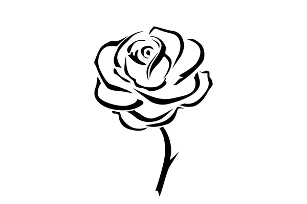 手绘玫瑰。花玫瑰, 黑色和白色矢量轮廓图标。花卉标识概念图标。玫瑰标志. — 图库矢量图片
