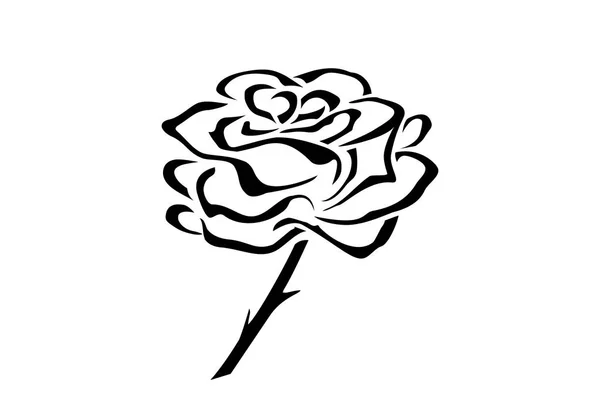 Rosa dibujada a mano. Flores rosa, negro y blanco icono de contorno de vectores. Icono de concepto de logotipo de flor. Logo Rose . — Vector de stock