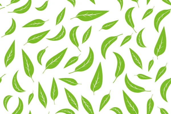 Seamless pattern with green tea leaves on white background. Hand painting on paper. May used in fabric, wrapping paper. Vector illustration. — Stock Vector