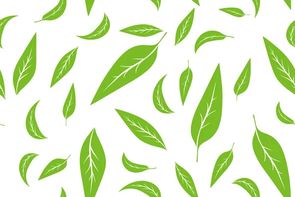 Seamless pattern with green tea leaves on white background. Hand painting on paper. May used in fabric, wrapping paper. Vector illustration. — Stock Vector