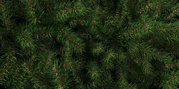 Background of Christmas tree branches. Happy New Year green theme background. 3d rendering. — Stock Photo, Image