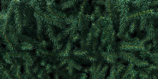 Fond de branches d'arbre de Noël. Bonne année fond de thème vert. Rendu 3d . — Photo