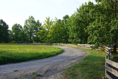 Yeşil otlar ve orman arka planda yolu ile eski ahşap çit. Yaşam kavramı.