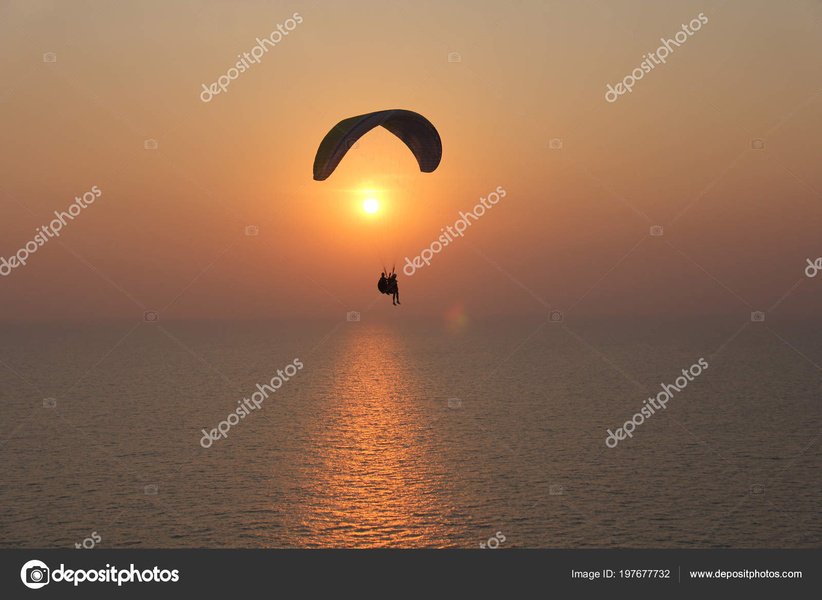 Paraglider Background Sea Sunset Dawn Beautiful Seascape Extreme Sport Paraglider Stock Photo C Artnapoleonka