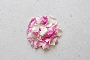 Gül yaprakları açık gri beton arka plan üzerinde yatıyor. Hassasiyet,