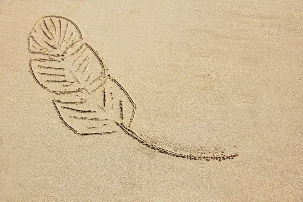 La pluma se dibuja en la arena. Dibujos en la arena. Diseño con — Foto de Stock
