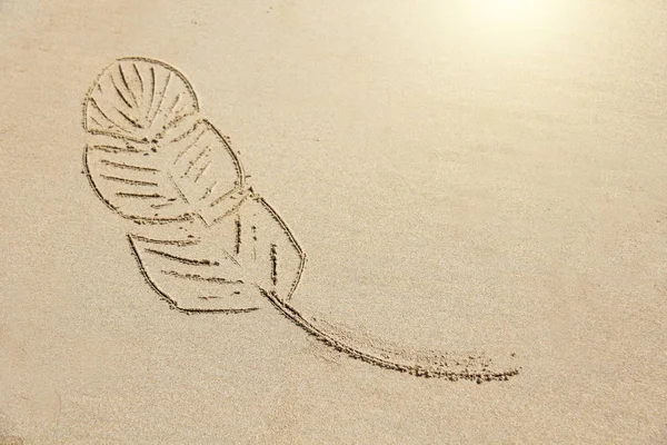La pluma se dibuja en la arena. Dibujos en la arena. Diseño con — Foto de Stock