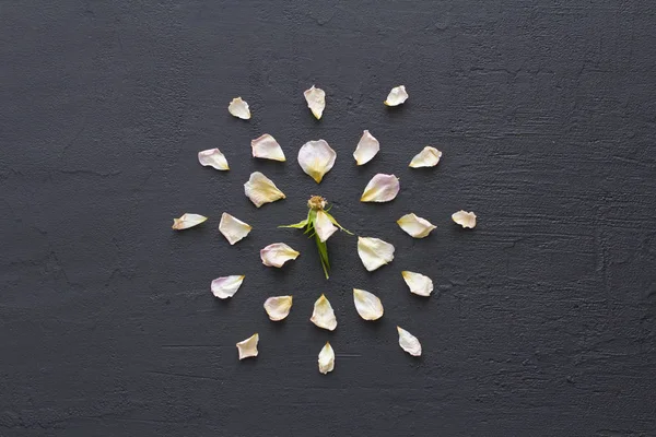 Flower Mandala on Black Dark Background. Geometrical Floral Comp