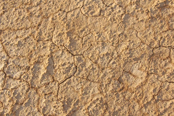 Torr sprucken jord bakgrund. Knäckt lera mönster. Jord i spricka — Stockfoto