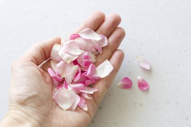 Gül yaprakları elinde, açık gri beton arka plan üzerinde yalan