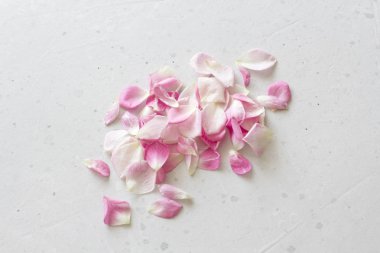 Gül yaprakları açık gri beton arka plan üzerinde yatıyor. Hassasiyet,