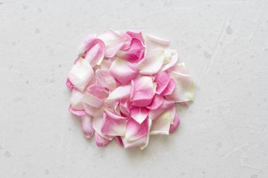 Gül yaprakları açık gri beton arka plan üzerinde yatıyor. Hassasiyet,