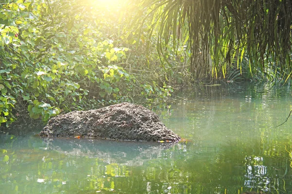 Grüne smaragdgrüne Jade Wasser ist ein Fluss der tropischen Strahlen der s — Stockfoto