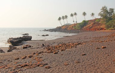 Siyah kum ve palmiye ağaçları ile plaj. Koyu kahverengi volkanik kum bir