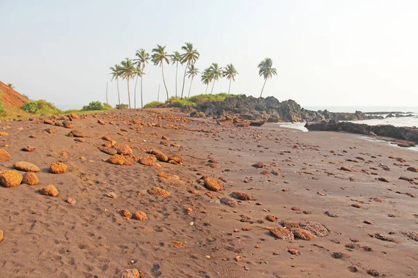 Пляж с черным песком и пальмами. Темно-коричневый вулканический песок — стоковое фото
