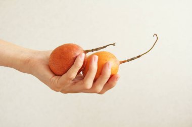 İki sarı veya turuncu tutku meyve beyaz bir sırt üzerinde bir elinde yalan