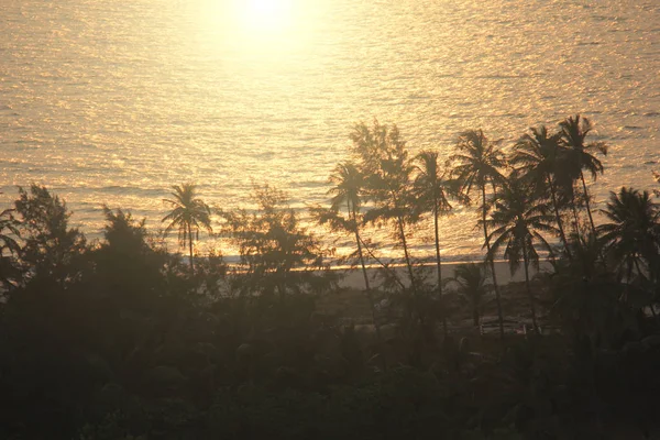 Siluetas de palmeras en el fondo de la puesta de sol y el mar — Foto de Stock