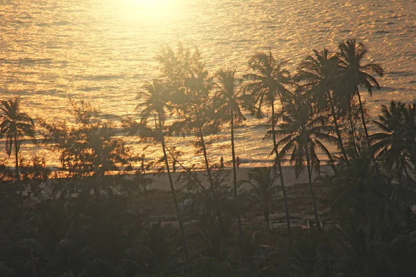 Siluetas de palmeras en el fondo de la puesta de sol y el mar —  Fotos de Stock