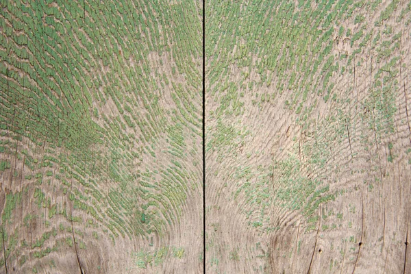 Fondo de madera. Fondo Verde del Árbol Natural. Madera — Foto de Stock