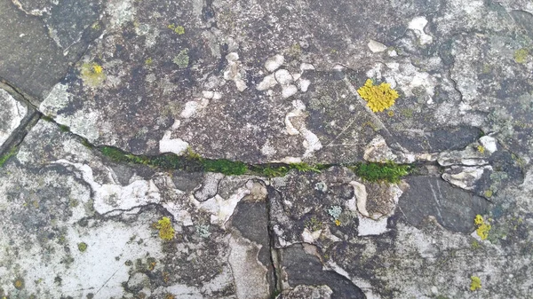 Fondo de piedra vieja y hierba verde — Foto de Stock