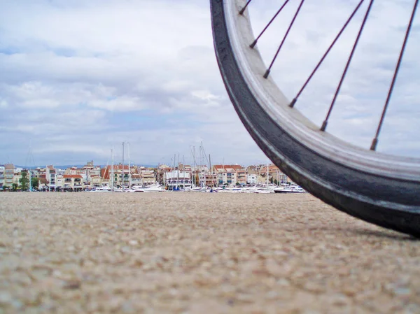 Koło roweru na tle morza — Zdjęcie stockowe