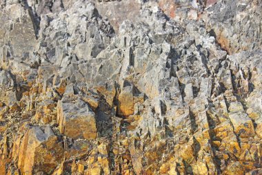 Arka plan taşı. Arka plan için gri veya gri taş. Güzel s