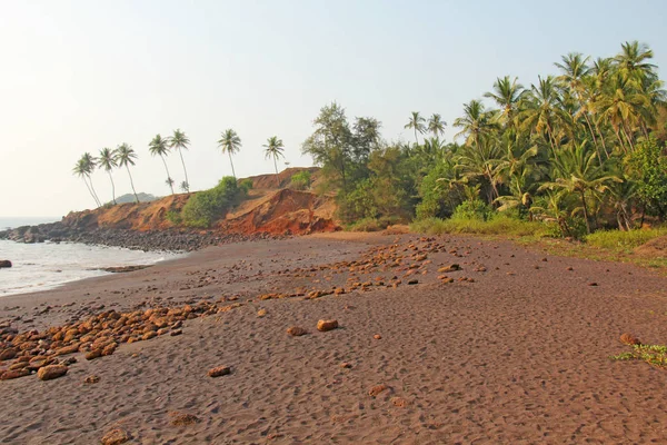 Strand met zwart zand en palmbomen. Donker bruin vulkanisch zand a — Stockfoto