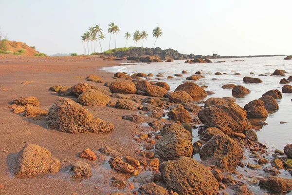 Strand met zwart zand en palmbomen. Donker bruin vulkanisch zand a — Stockfoto