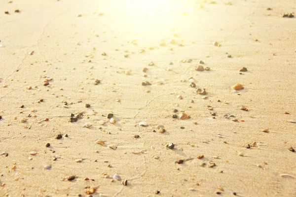 Pequeñas piedras yacen en la arena beige en el sol. Diseño con copia — Foto de Stock