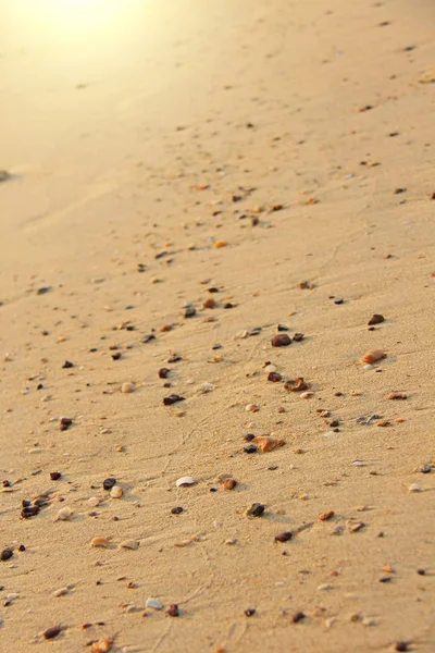 Small stones lie on the beige sand in the sun. Design with copy — Stock Photo, Image