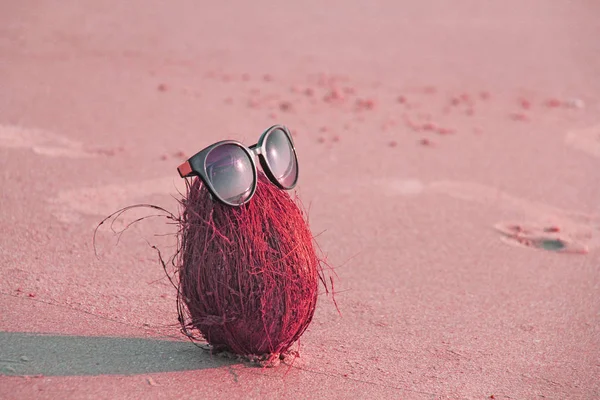 Un coco rosado con gafas de sol, en la playa y en el mar, aga —  Fotos de Stock