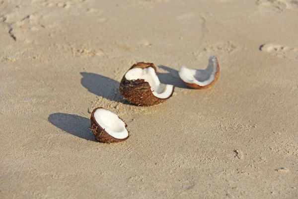 Een open bruine kokosnoot met wit vlees ligt op het strand, op de — Stockfoto