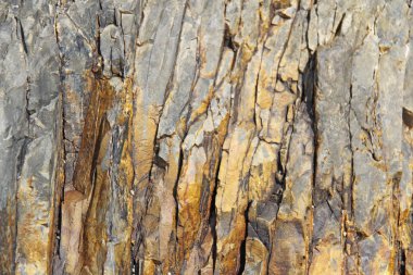 Arka plan taşı. Arka plan için turuncu, bej veya sarı taş. 