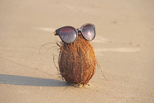 Un coco marrón con gafas de sol, en la playa y en el mar, ag —  Fotos de Stock