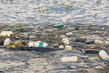 Hindistan, Goa, 05 Şubat 2018. Boş plastik ve cam şişeler l