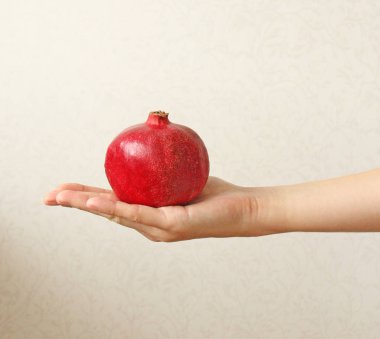 Granat. El Bombasının Meyvesi Elde Yatıyor.