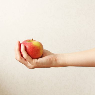 Bir elma. Kırmızı Elmanın Meyvesi Elde Yatıyor.