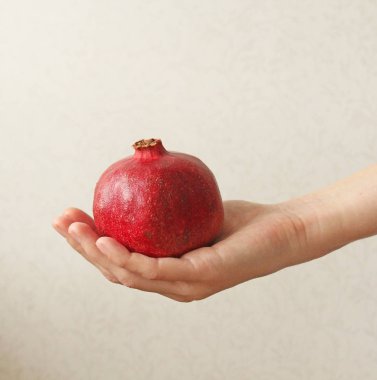 Granat. El Bombasının Meyvesi Elde Yatıyor.